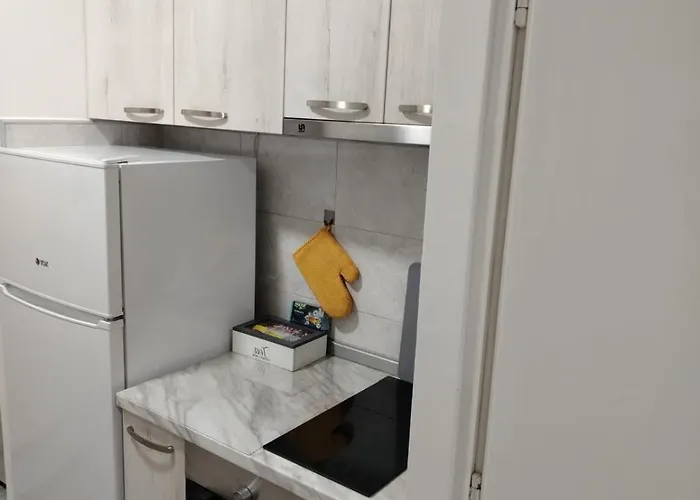 Lux Jugi Parking Public Free نوفي بازار